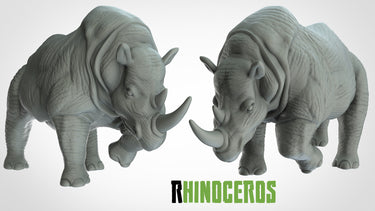 Rhinoceri